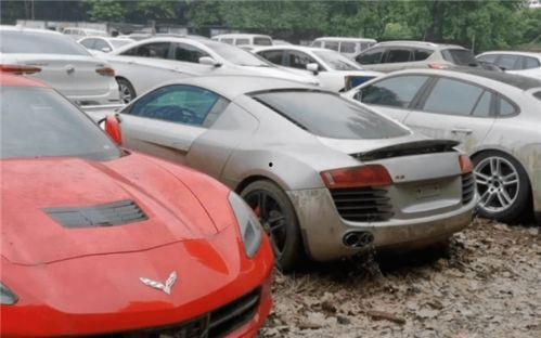 二代玛莎爆料视频下载,独家内幕大公开  第1张